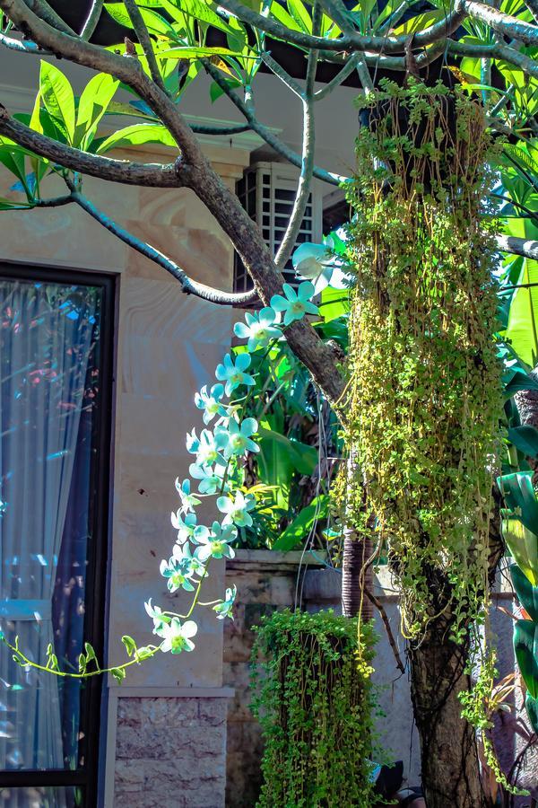 Villa Impian Canggu Zewnętrze zdjęcie