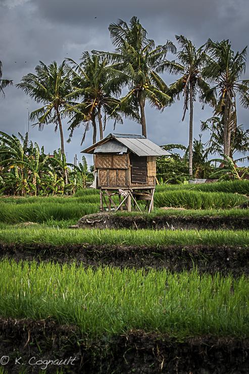 Villa Impian Canggu Zewnętrze zdjęcie